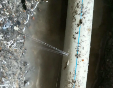 泌阳测漏水哪家好