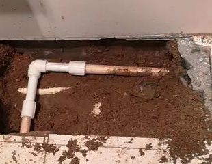 泌阳测漏水哪家好