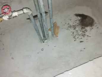 泌阳卫生间测漏水价格明细