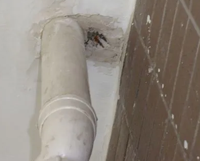 泌阳漏水检测哪家好